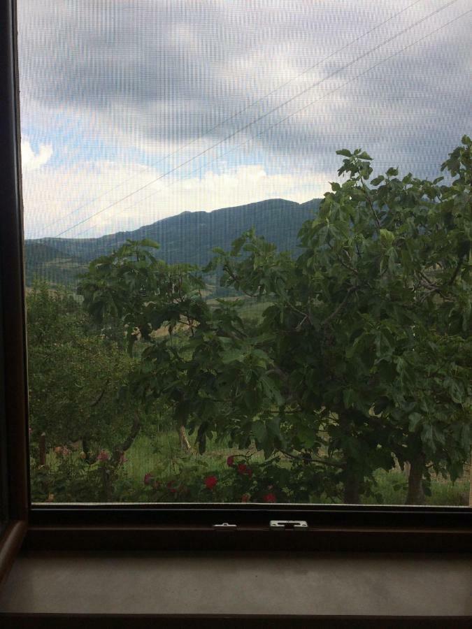 La Casa Nel Verde Castelmezzano Exteriör bild